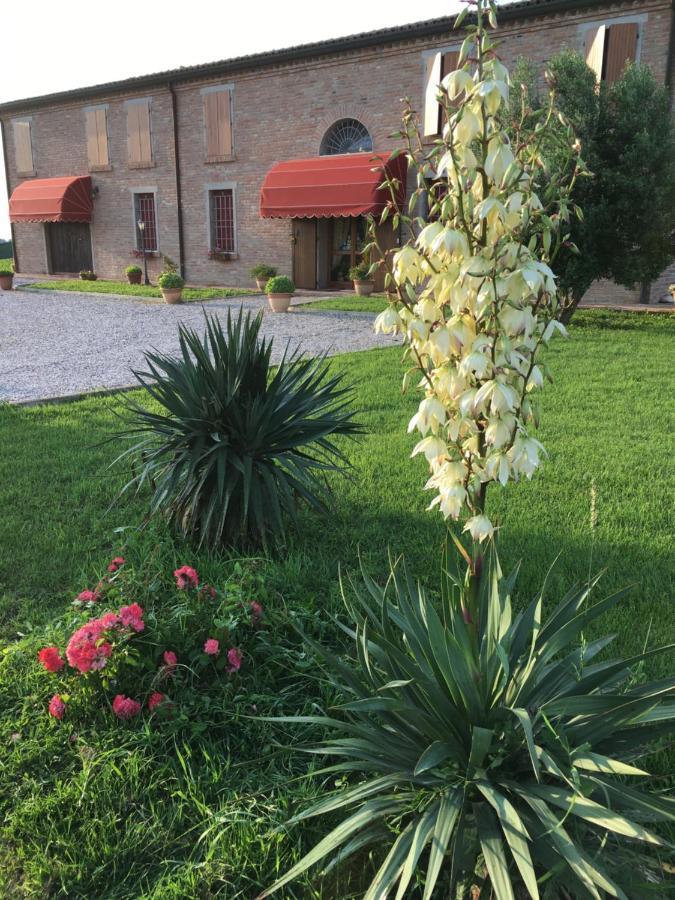 Voghenza Il Frattiero B&B المظهر الخارجي الصورة
