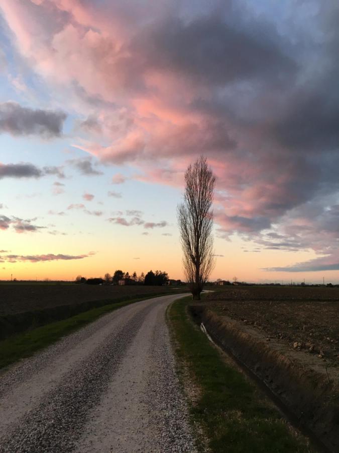 Voghenza Il Frattiero B&B المظهر الخارجي الصورة